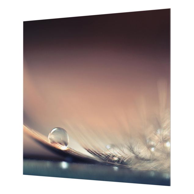 Glass Splashback - Story Of A Water Drop - Square 1:1