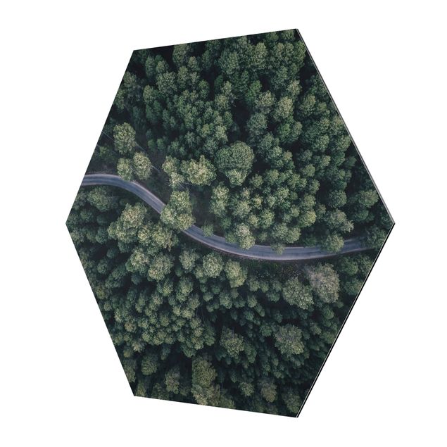 Alu-Dibond hexagon - Aerial View - Forest Road From The Top