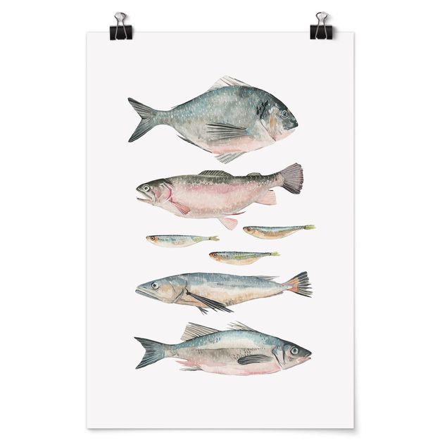 Poster kitchen - Seven Fish In Watercolour II