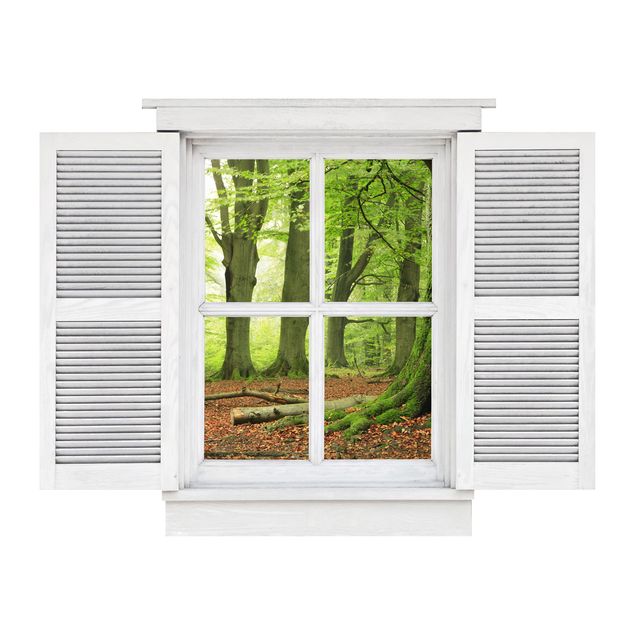 Wall stickers Casement Mighty Beech Trees