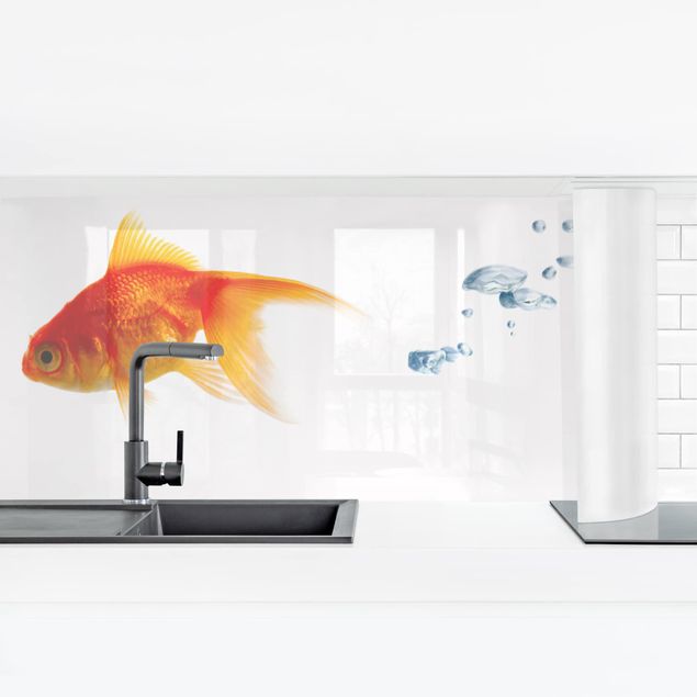 Kitchen wall cladding - Goldfish