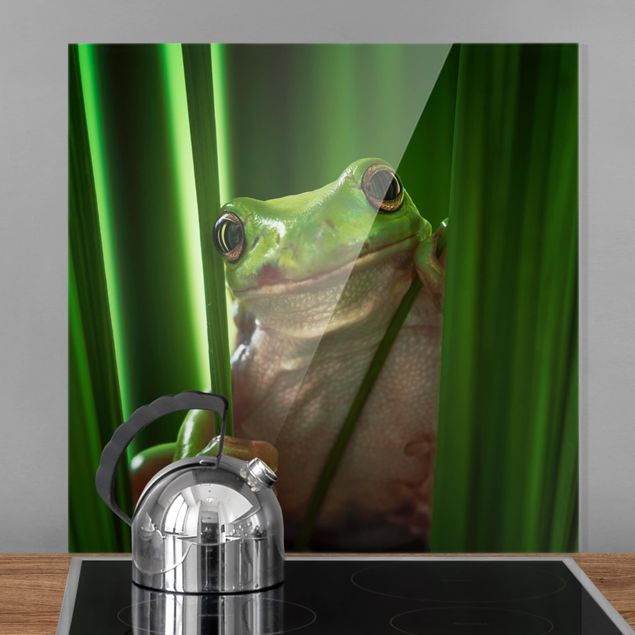 Glass splashback kitchen animals Happy Frog