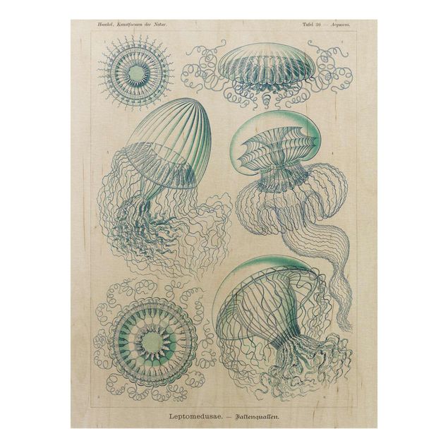 Print on wood - Vintage Board Jellyfish In Blue