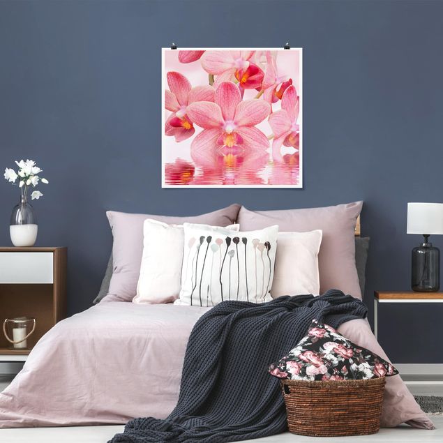 Poster - Light Pink Orchid On Water