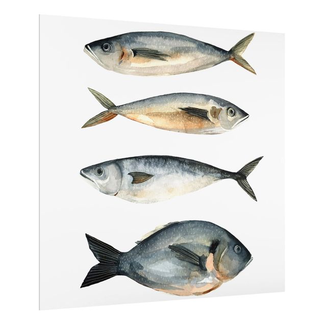 Glass Splashback - Four Fish In Watercolor I - Square 1:1