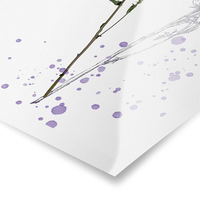 Poster flowers - Botanical Watercolour - Bellflower