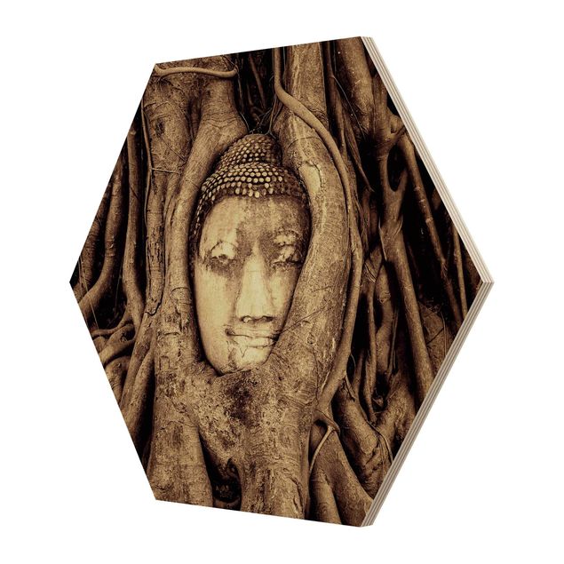 Wooden hexagon - Buddha In Ayutthaya Lined From Tree Roots In Brown