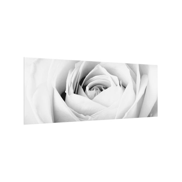 Splashback - Close Up Rose