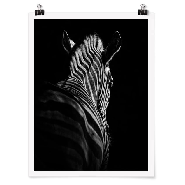 Poster animals - Dark Zebra Silhouette