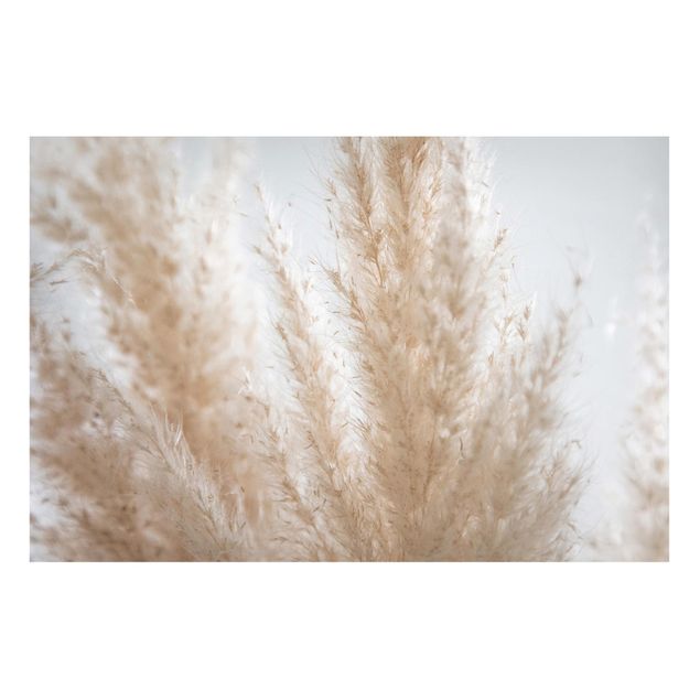 Magnetic memo board - Delicate Pampas Grass Close Up