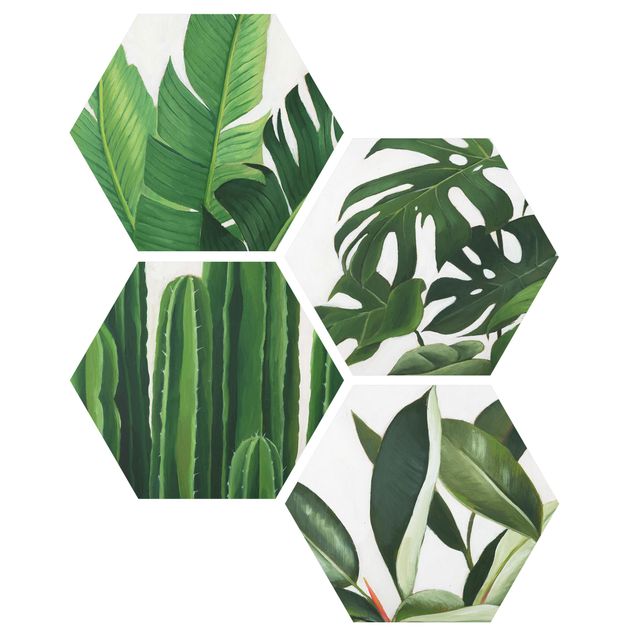 Forex hexagon - Favorite Plants Tropical Set I