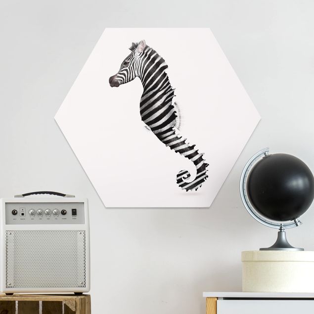 Forex hexagon - Seahorse With Zebra Stripes