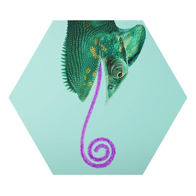 Alu-Dibond hexagon - Chameleon With Sugary Tongue