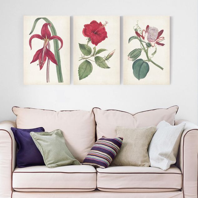 Print on canvas - Garden Beauty Set I