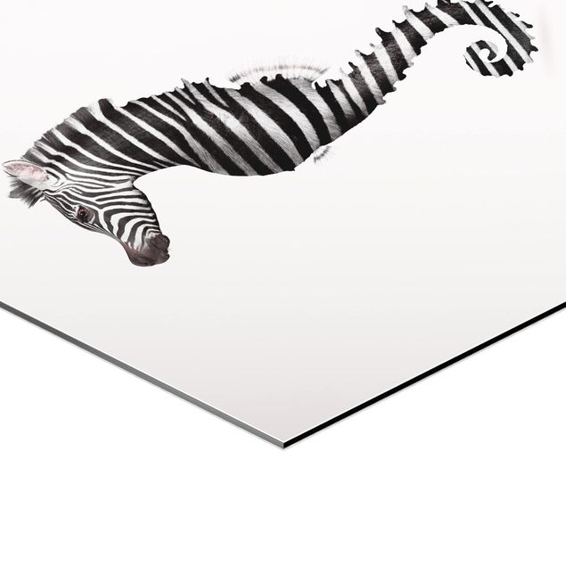 Alu-Dibond hexagon - Seahorse With Zebra Stripes