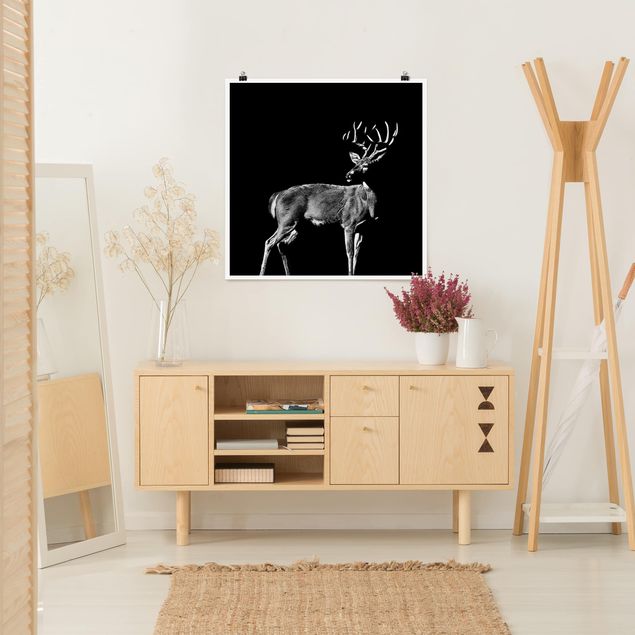 Poster - Deer In The Dark