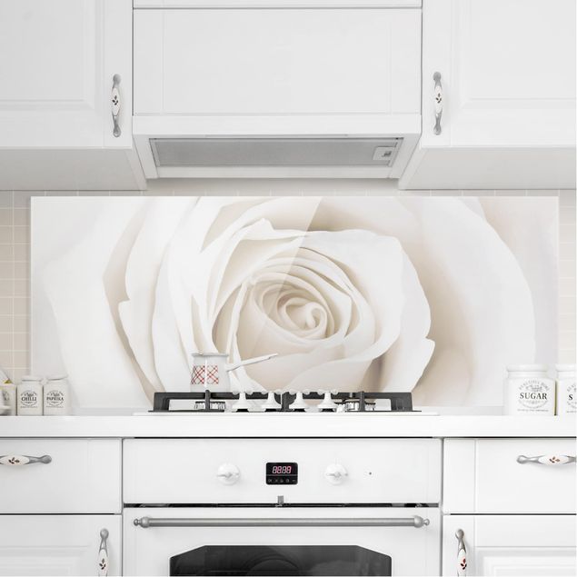 Glass splashback kitchen flower Pretty White Rose
