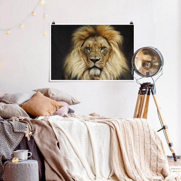 Poster - Wisdom Of Lion