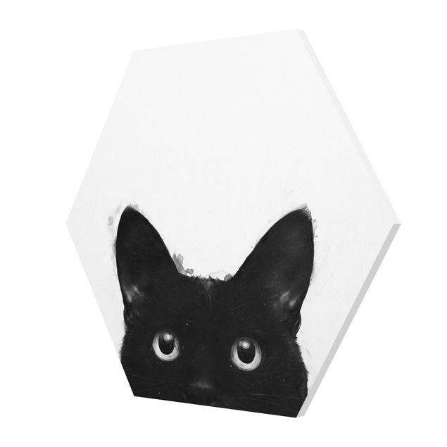 Forex hexagon - Illustration Black Cat On White Painting