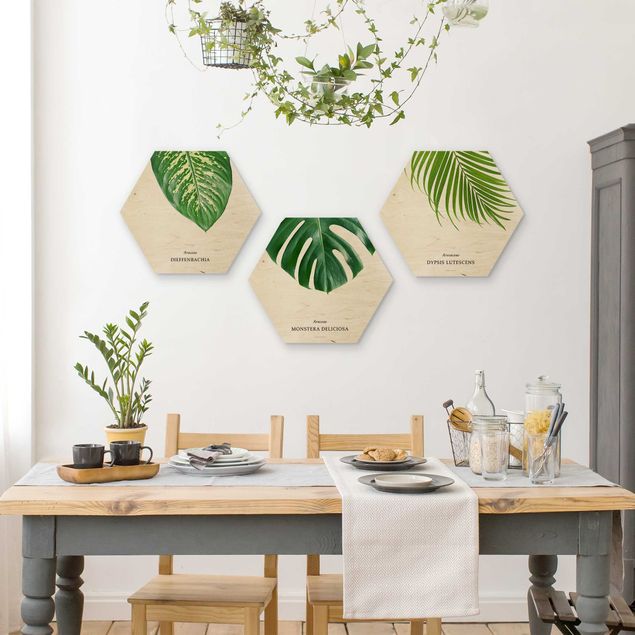 Wooden hexagon - Tropical Leaves