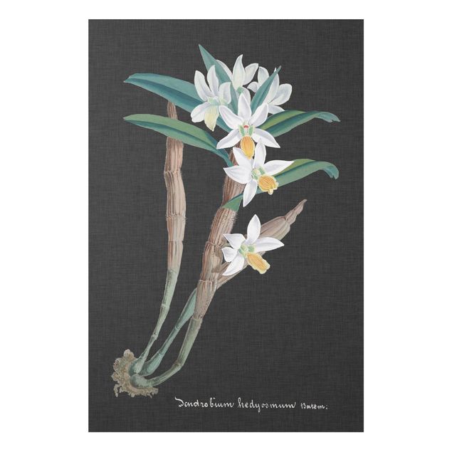Print on forex - White Orchid On Linen I