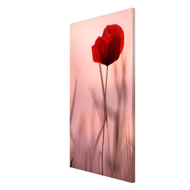Magnetic memo board - Poppy Flower In Twilight