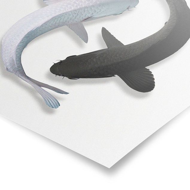 Poster - Fish Ying Yang