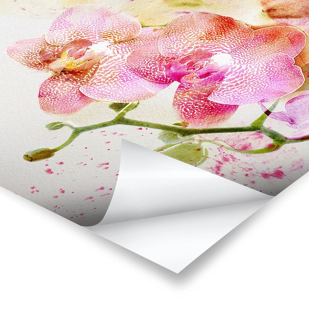 Poster - Watercolour Flowers Orchids