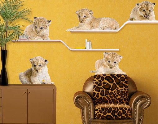 Wall stickers africa No.647 Lion Babies Set