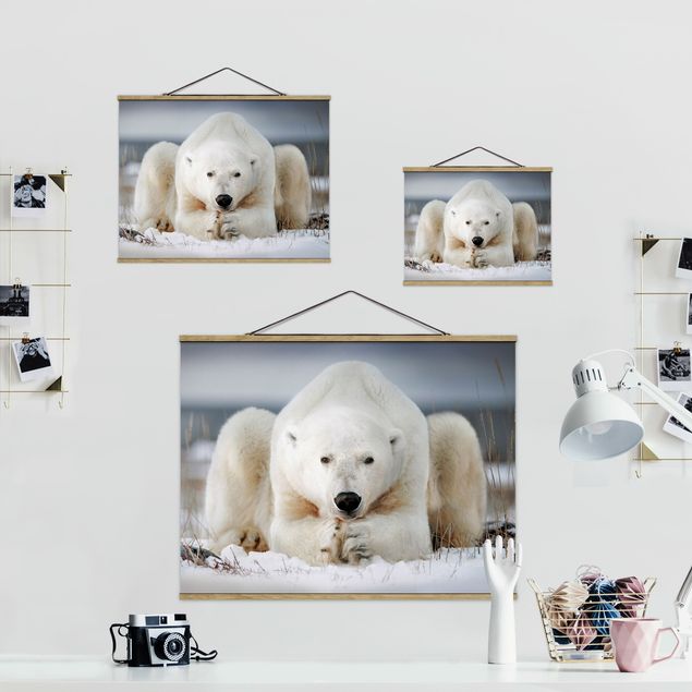 Fabric print with poster hangers - Contemplative Polar Bear