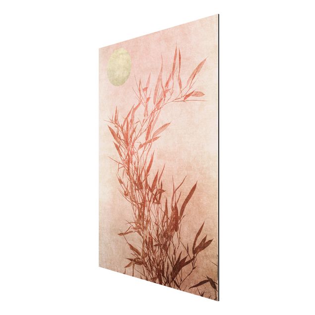 Alu-Dibond print - Golden Sun Pink Bamboo