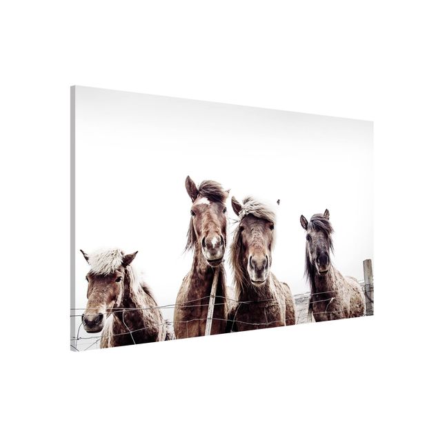 Magnetic memo board - Icelandic Horse
