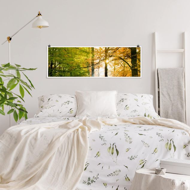 Panoramic poster forest - Morning Light