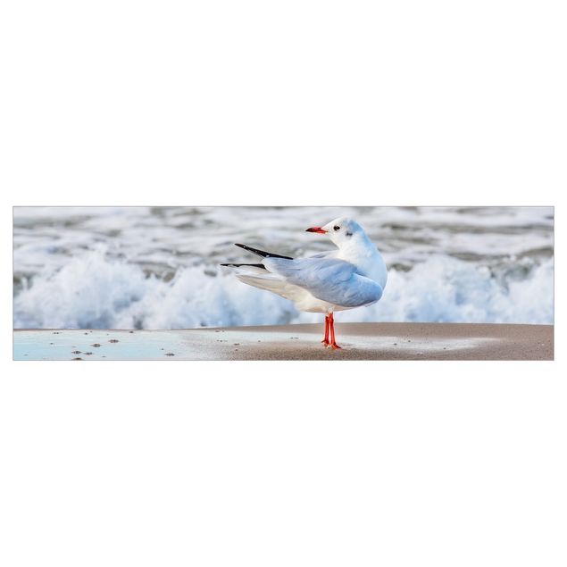 Kitchen wall cladding - Seagull On The Beach In Front Of The Sea