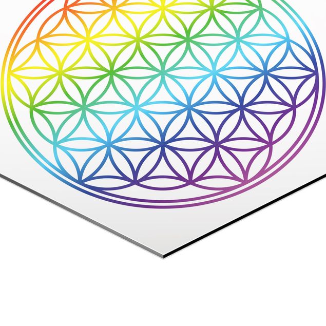 Alu-Dibond hexagon - Flower of Life rainbow color