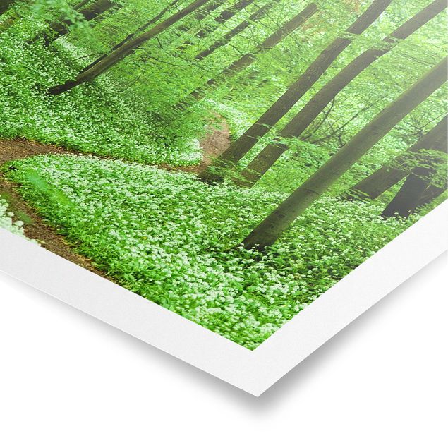 Poster - Romantic Forest Track