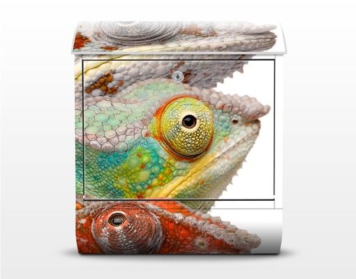 Letterbox - Colourful Chameleons