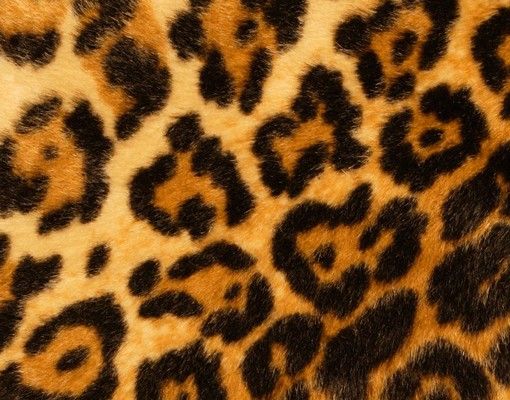 Letterbox - Jaguar Skin