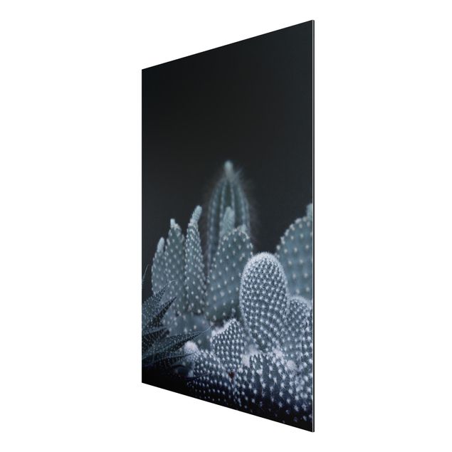 Print on aluminium - Familiy Of Cacti At Night