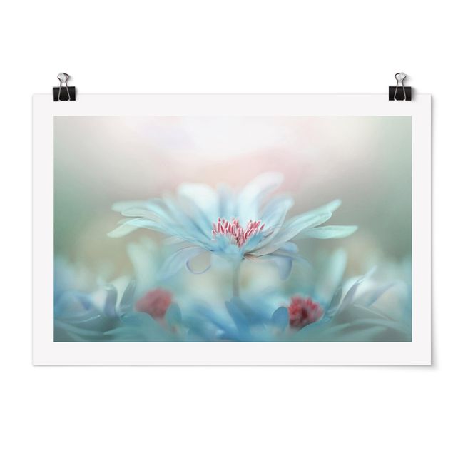 Poster - Delicate Flowers In Pastel