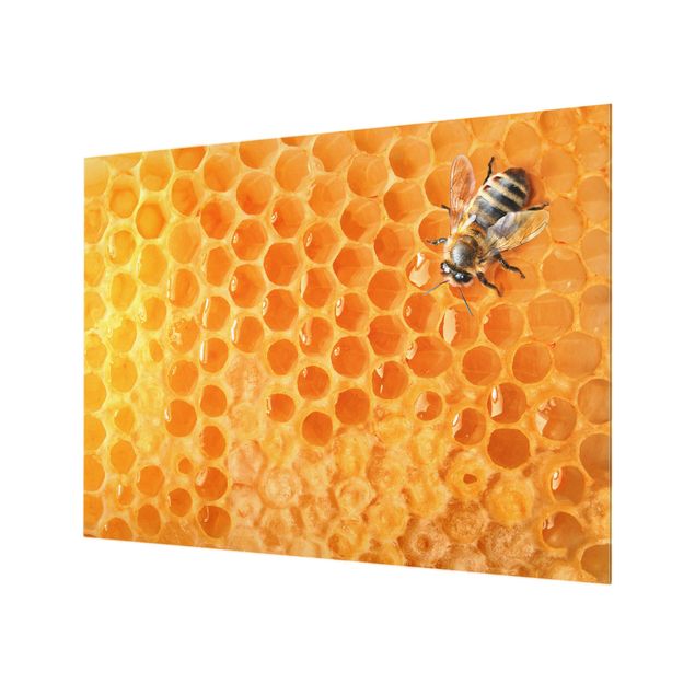 Glass Splashback - Honey Bee - Landscape 3:4