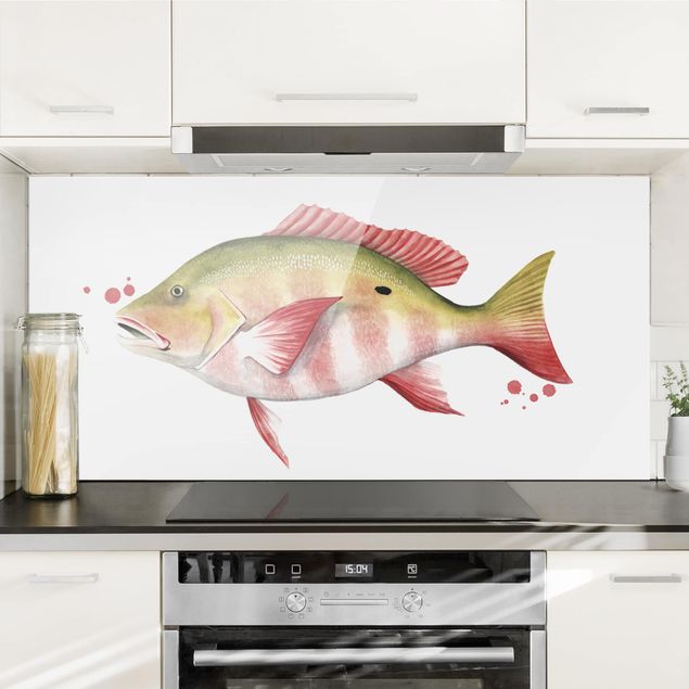 Glass splashback kitchen animals Color Catch - Northern Red Snapper