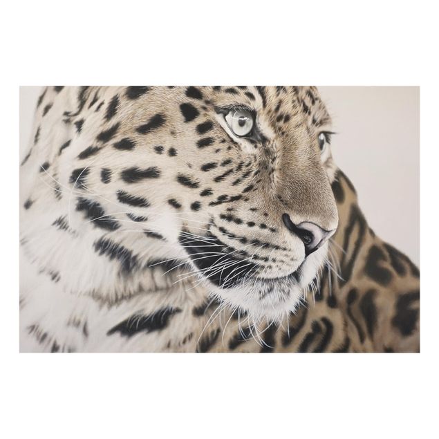Glass Splashback - The Leopard - Landscape format 3:2