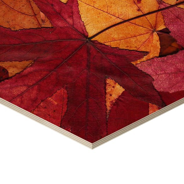 Wooden hexagon - Coloured Leaves