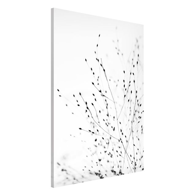 Magnetic memo board - Soft Grasses In Shadow