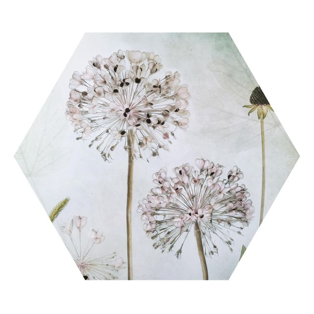 Alu-Dibond hexagon - Allium flowers in pastel