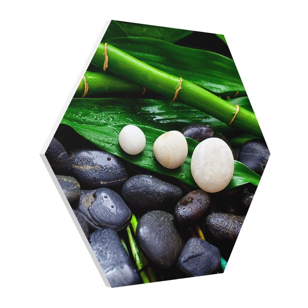 Hexagon Picture Forex - Green Bamboo With Zen Stones