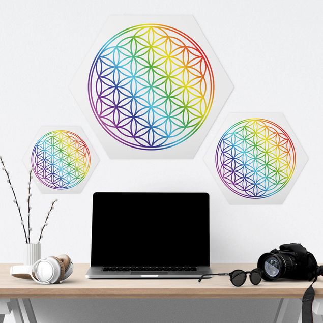 Forex hexagon - Flower of Life rainbow color