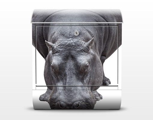 Letterbox - Hippo