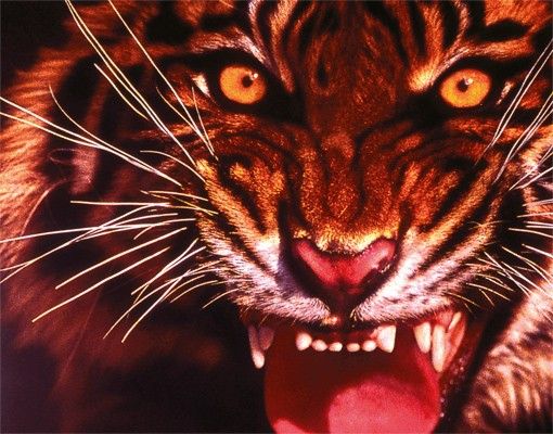 Letterbox - Wild Tiger